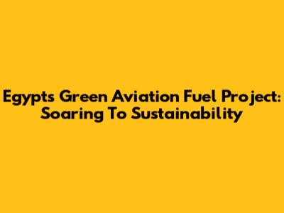 Egypt's Green Aviation Fuel Project: Soaring To Sustainability