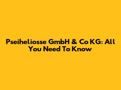 Pseiheliosse GmbH & Co KG: All You Need To Know
