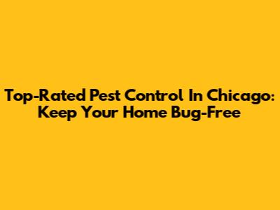 Top-Rated Pest Control In Chicago: Keep Your Home Bug-Free